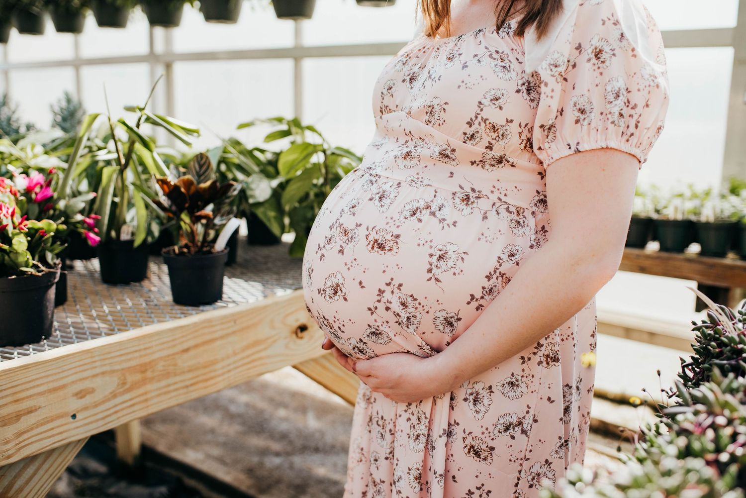 Farmington Maine Birth Photographer Mom holding belly during maternity photoshoot at greenhouse