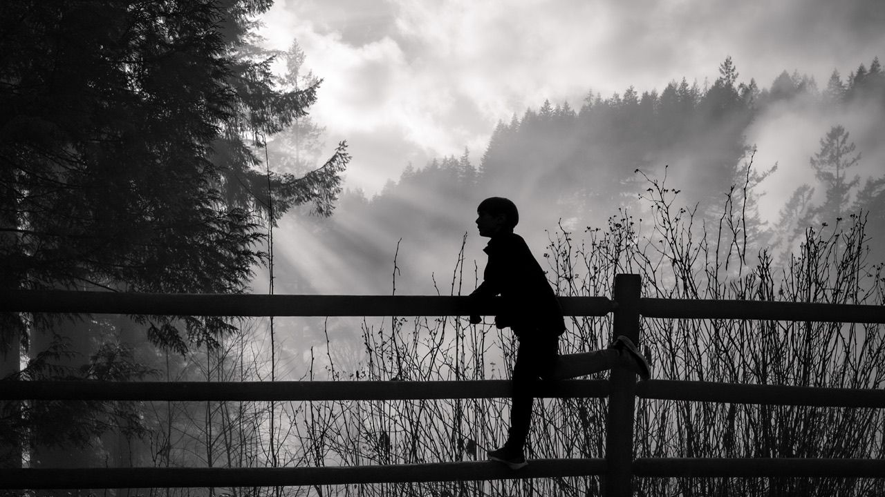 Black and white silhouette of person on suspension bridge in forest, Cleveland Dam, North Vancouver
