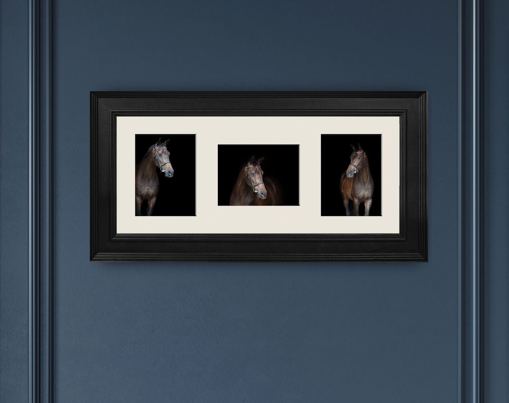 3 horse images in 1 frame