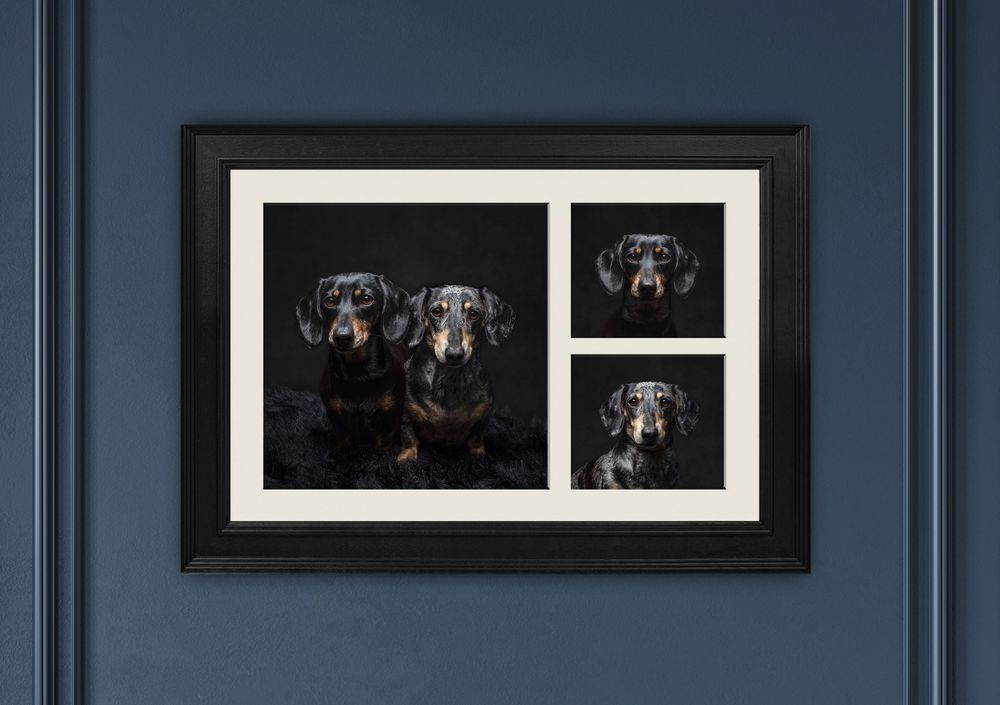 3 in 1 dog portrait frame