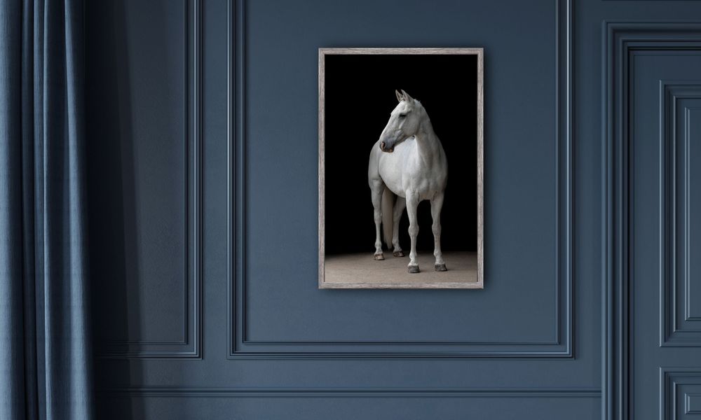 grey horse canvas frame print wall art fine art image