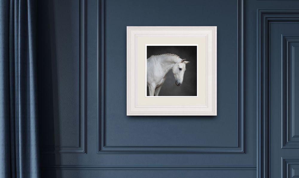 white framed fine art print grey dressage horse wall art