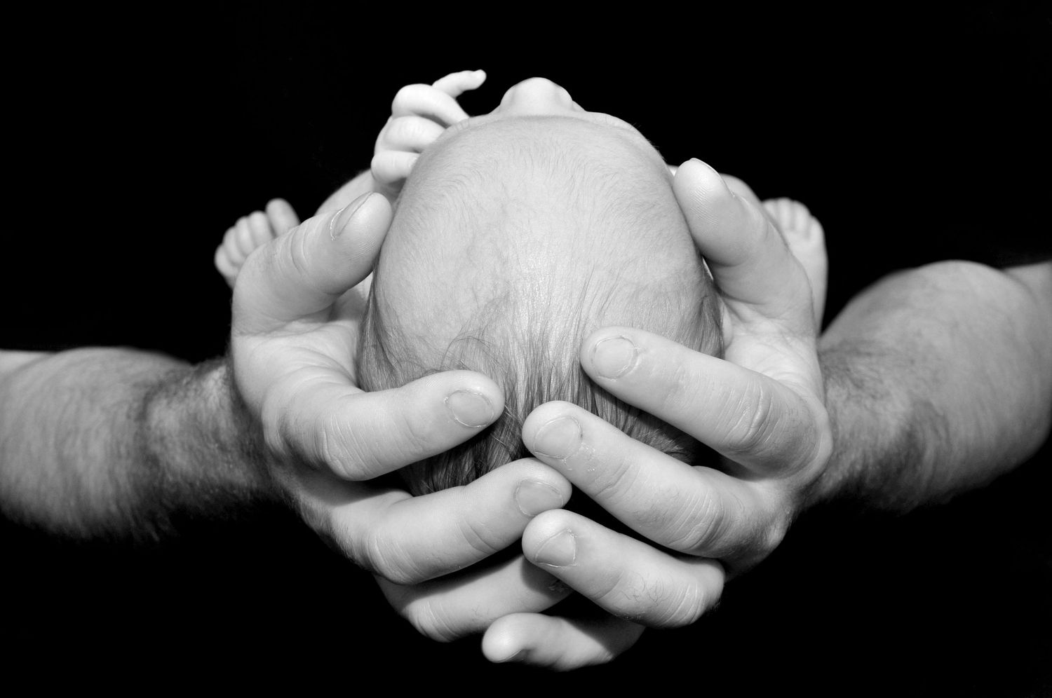 Black and white head in dad's hands newborn photo