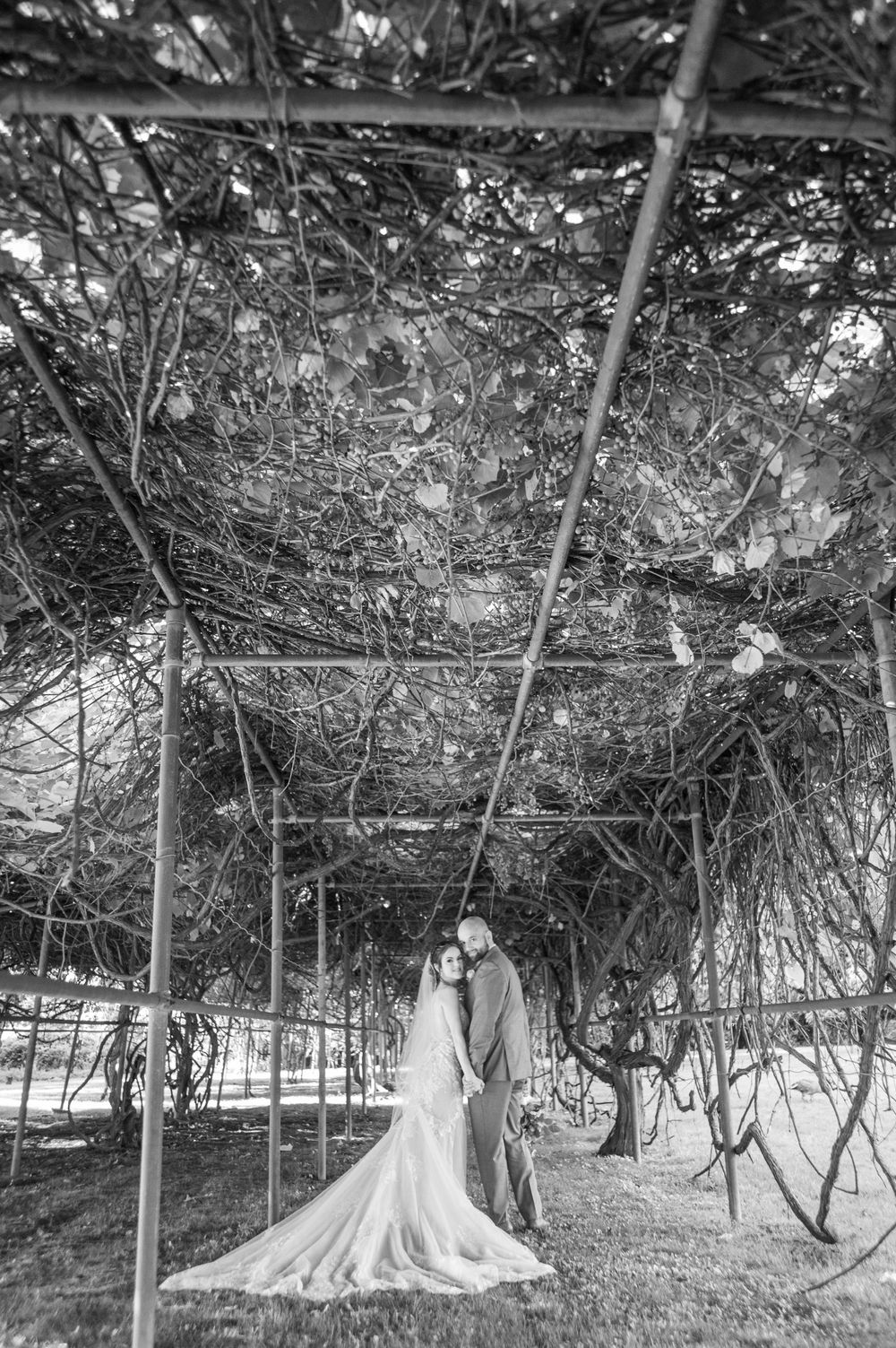 Stunning black and white shot of the newlyweds looking back at the camera from within the vineyards at Flowerfield
