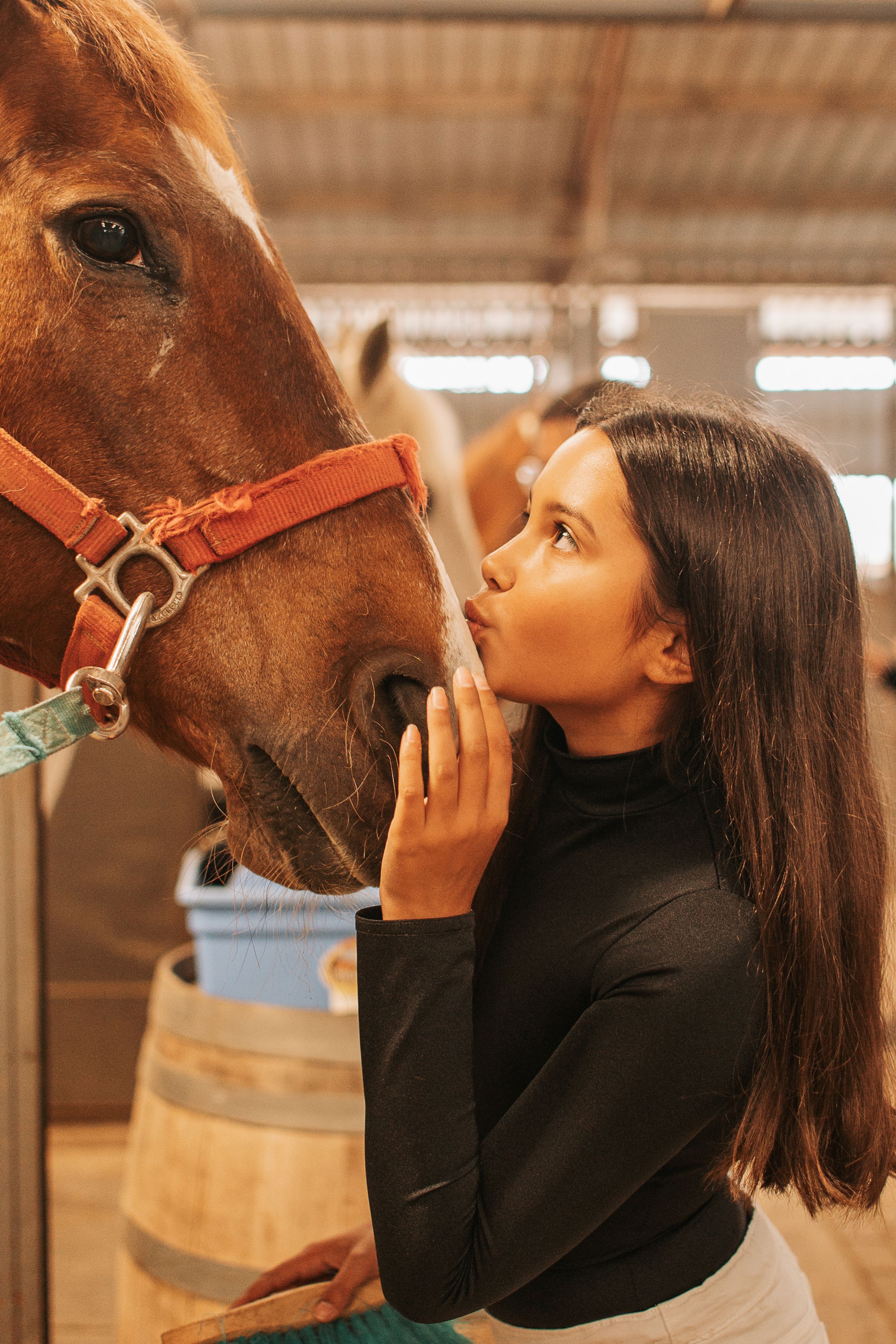 Sequence showing interaction between person in black shirt and brown horse in stable.