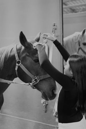 Black and white sequence capturing intimate moments between horse and handler in stable.