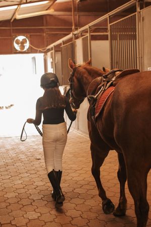 Person in riding boots walking alongside brown horse in sunlit stable corridor.