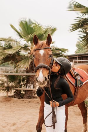 Chestnut horse with white blaze stands in sandy arena wearing western tack.