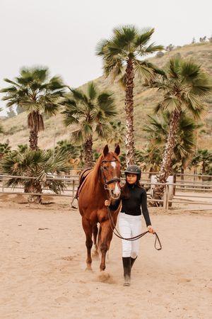 Chestnut horse and handler walk together through desert landscape with palm trees.