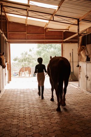 Silhouette of person walking with horse through barn aisle with sunlit doorway ahead.