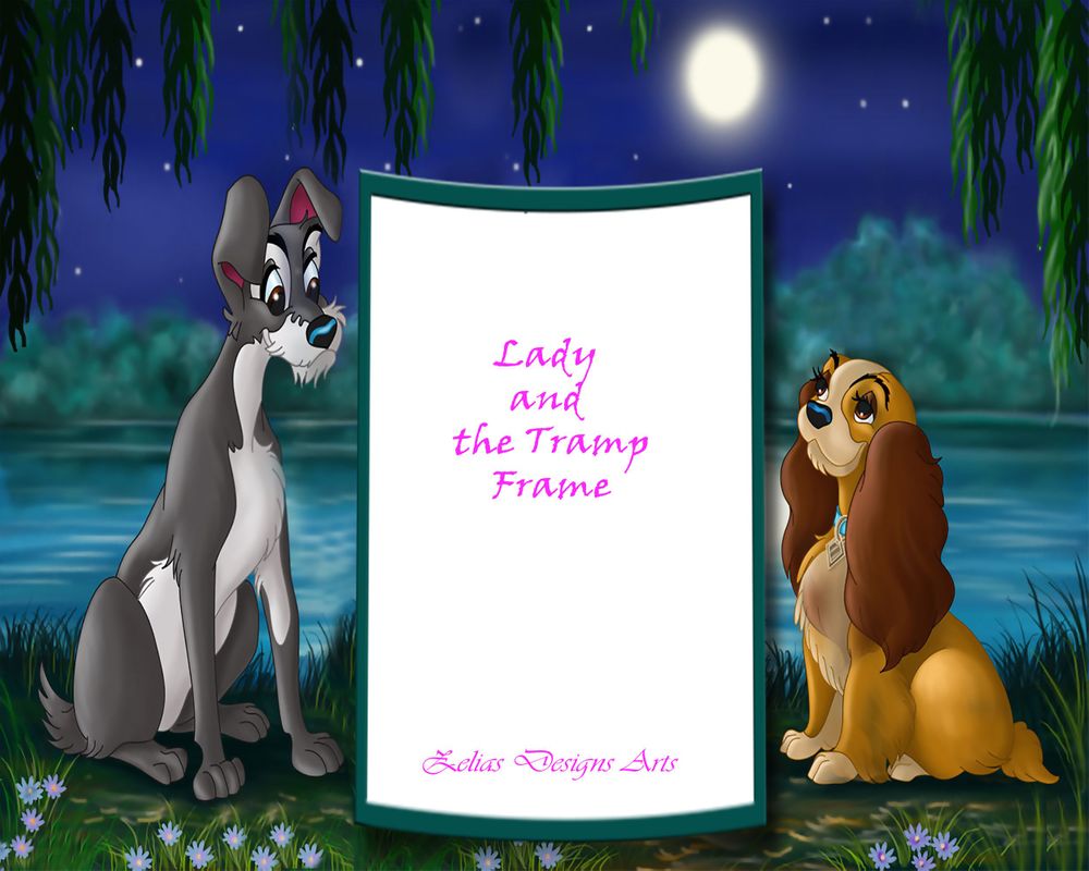 Kids Character Digital Frames