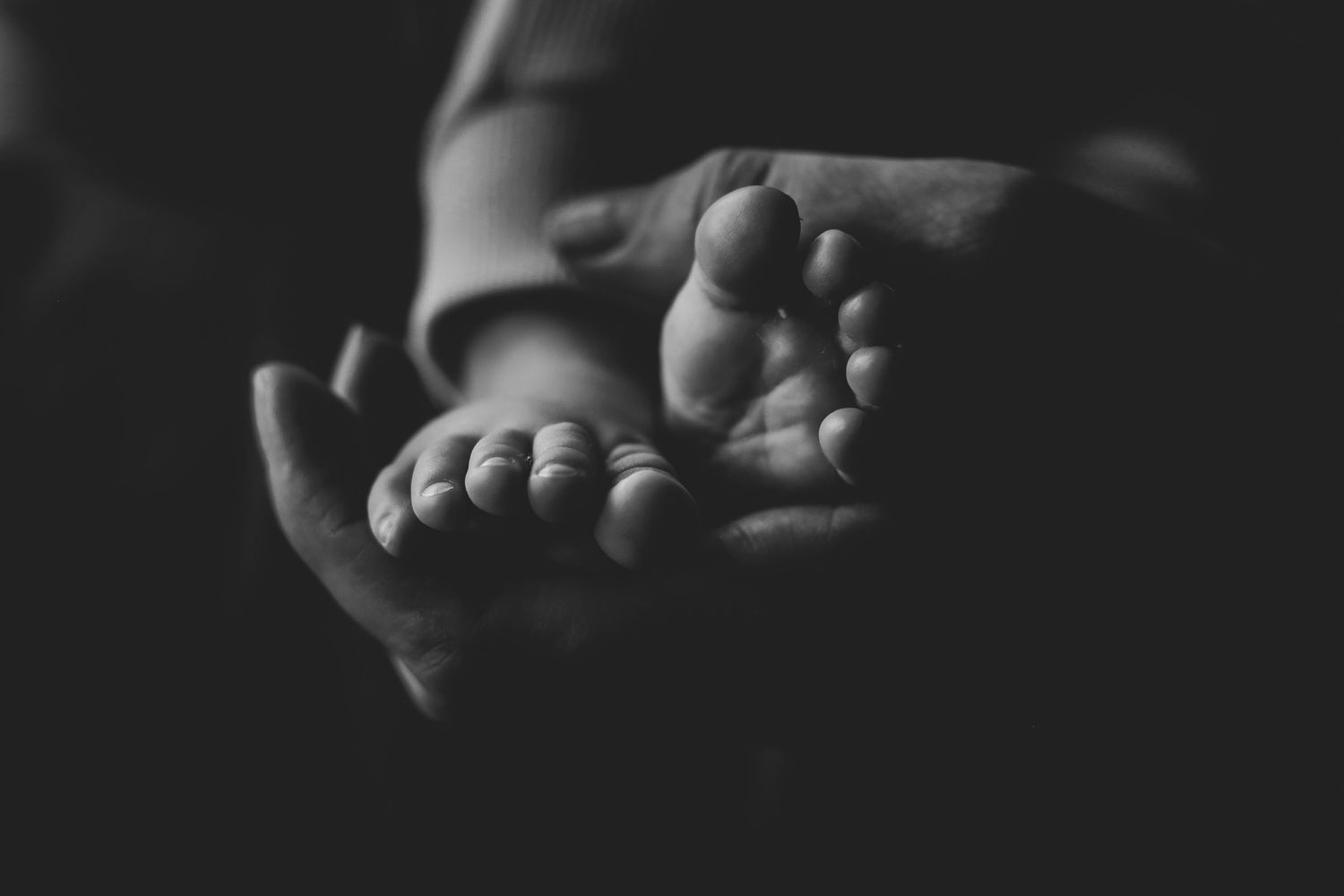 Black and white close-up of a parent cradling tiny newborn baby feet.