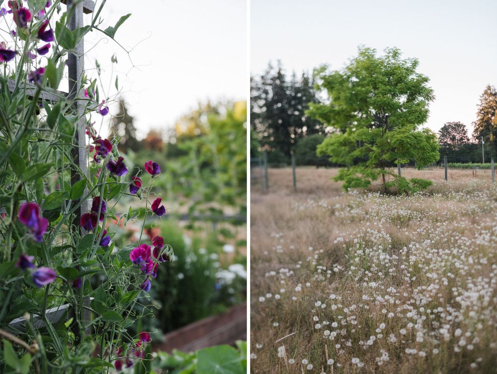 natural beauty abounded at this Victoria, British Columbia wedding on a private property