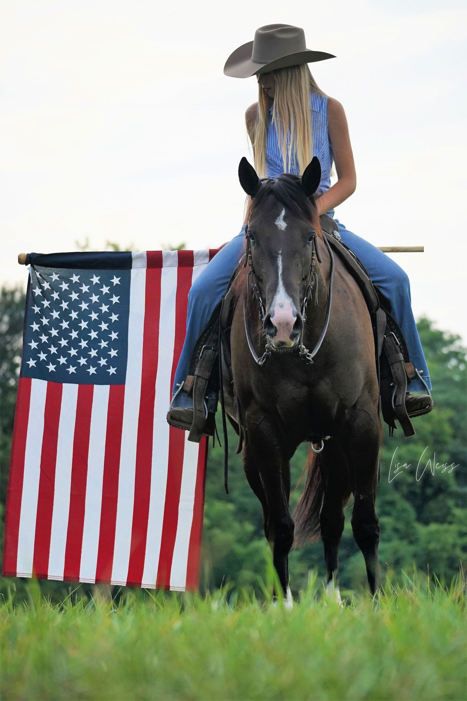 natural horsemanship training in Pocahontas, il