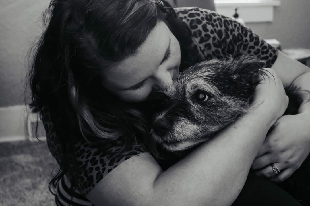 rainbow bridge, dog