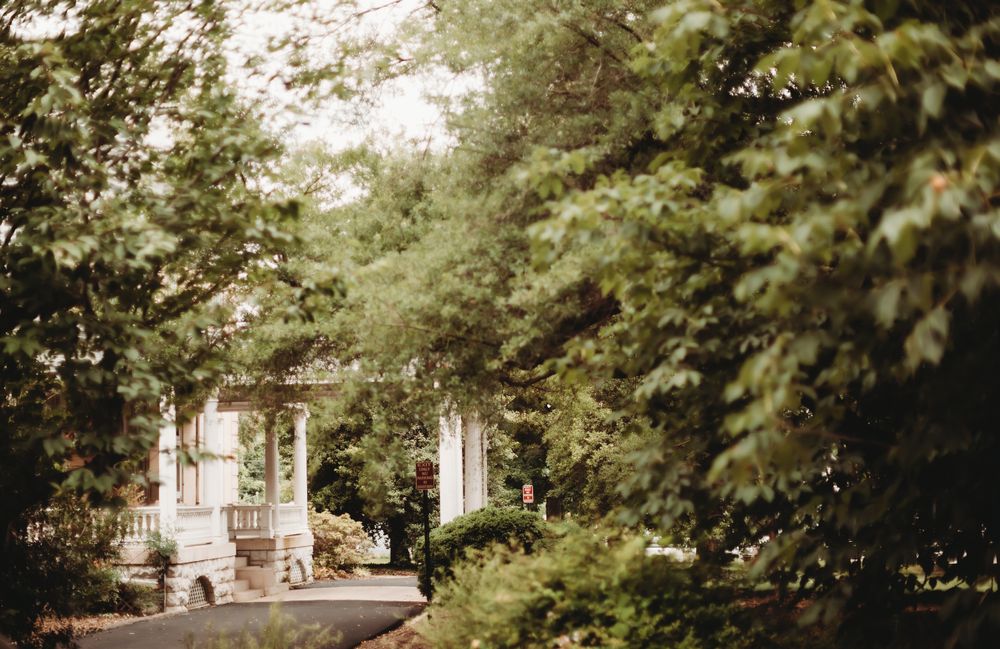 Rustic white house with garden path through lush green foliage.