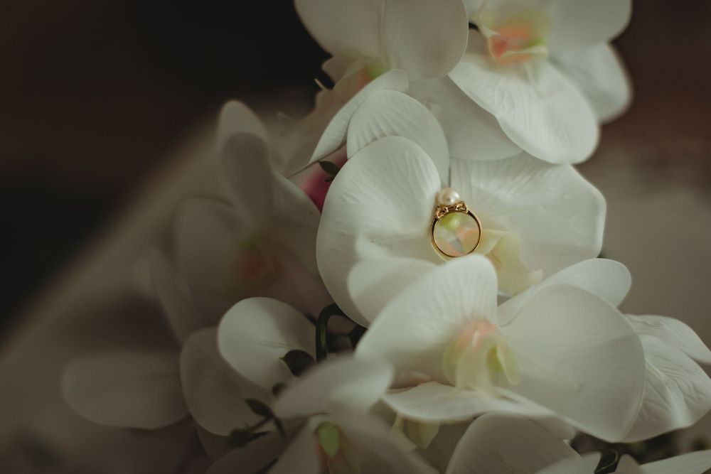 An elegant diamond engagement ring rests delicately among white orchid petals in a romantic macro shot.