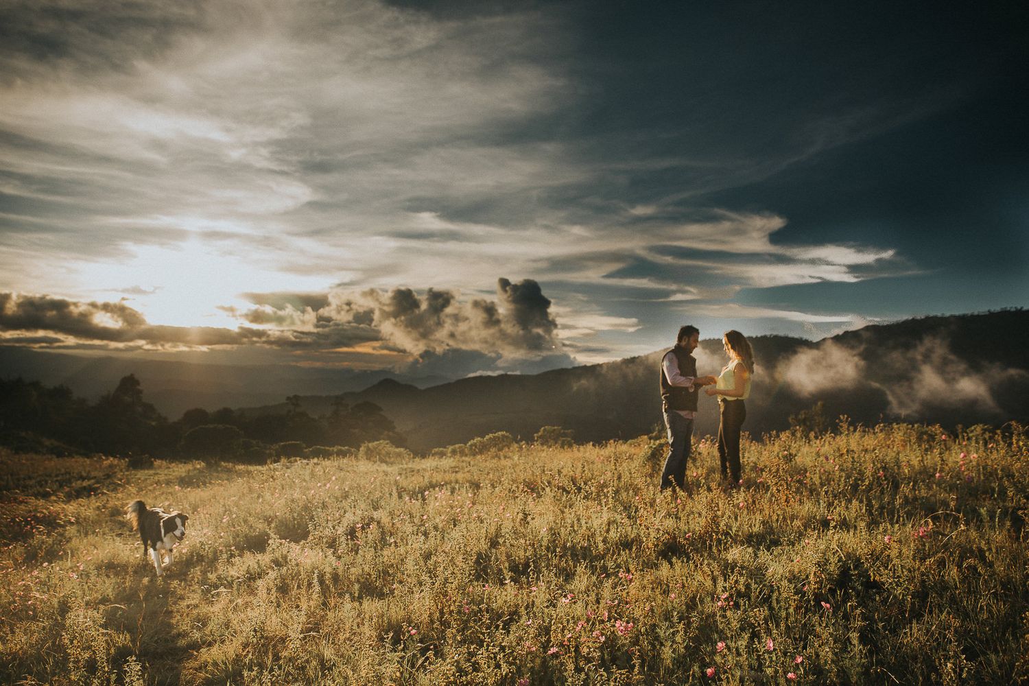 A couple stands in a golden field at sunset with their dog in the foreground.