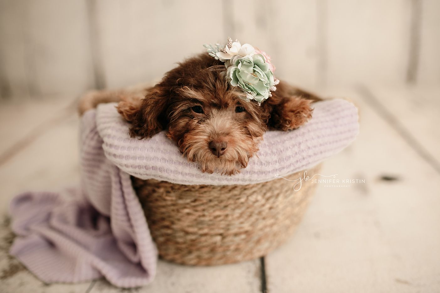 Chillicothe Ohio Newborn Photographer
