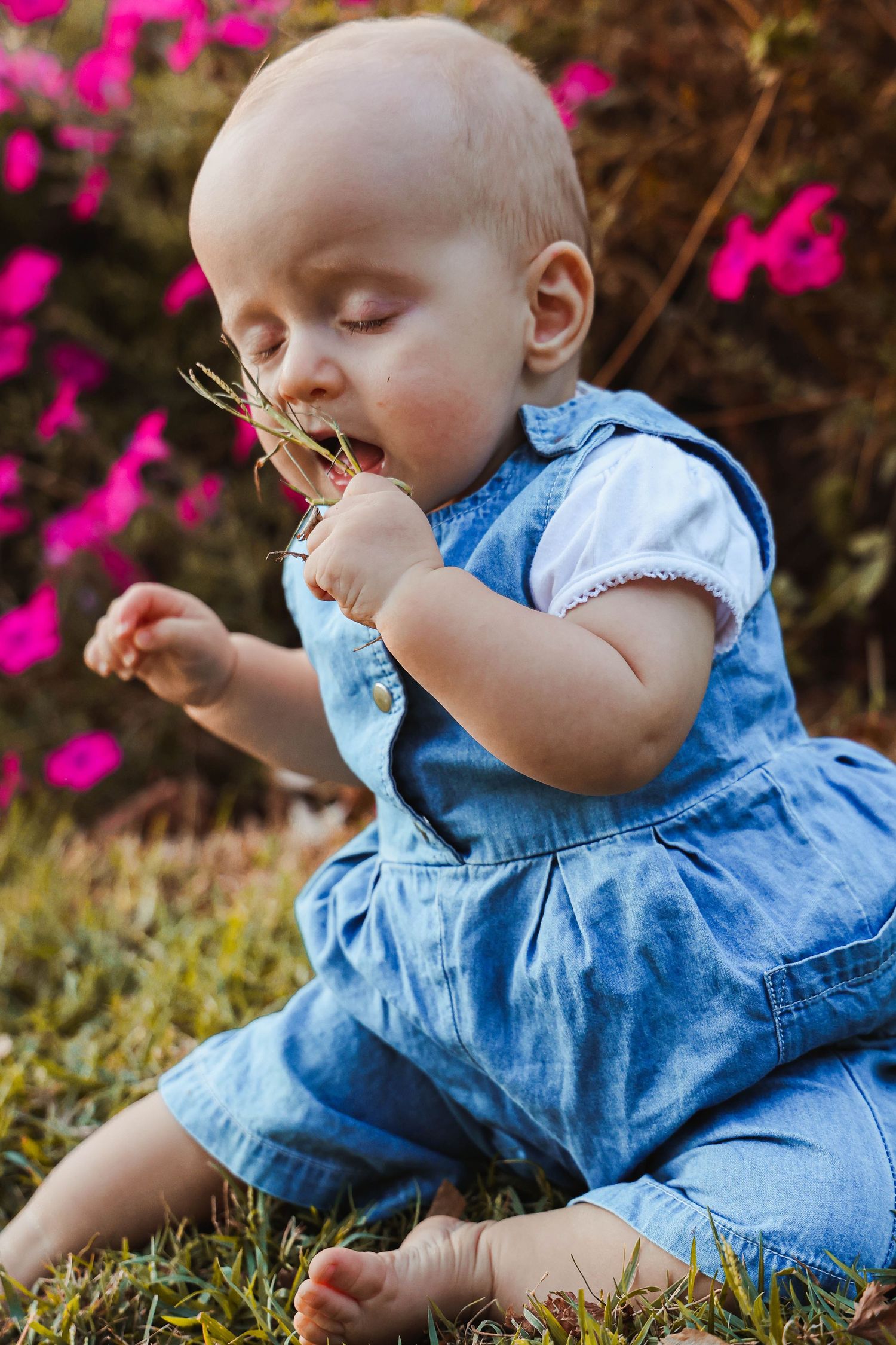 Baby in blue denim exploring grass with pink flowers in background.