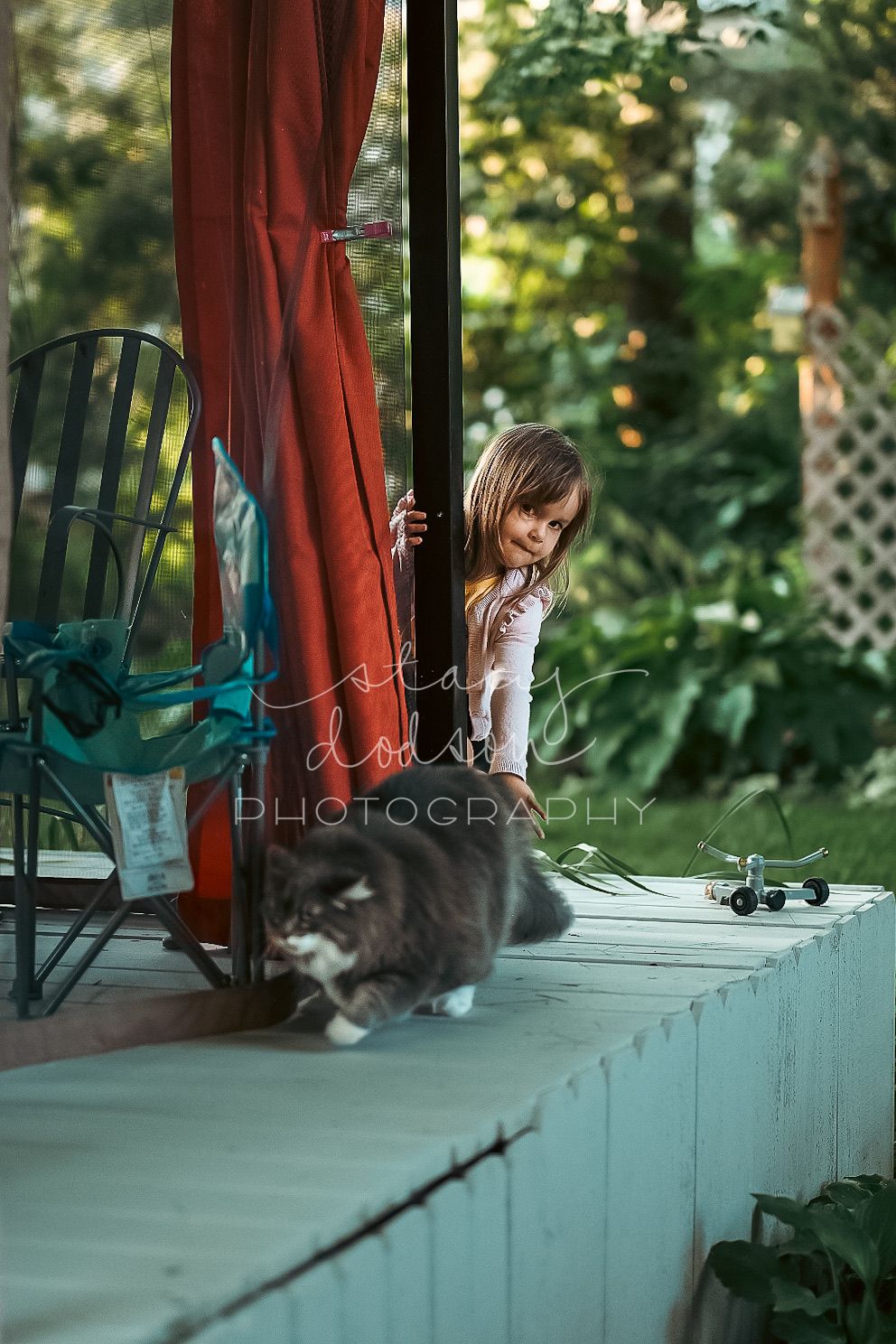 Little girl creeping around a corner to try and pet a grey long haired cat