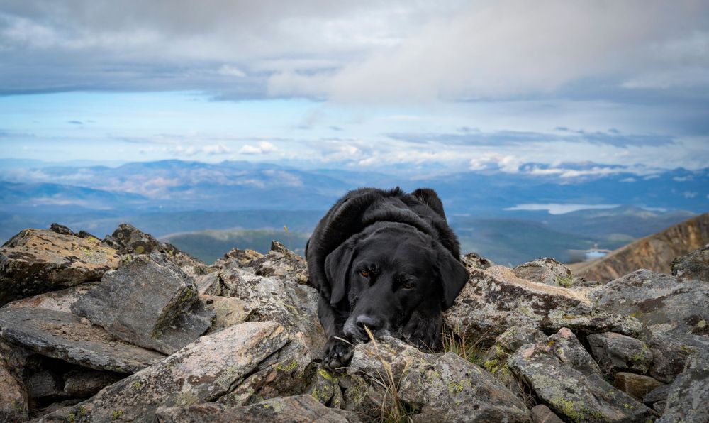 Jasper Peak Colorado
