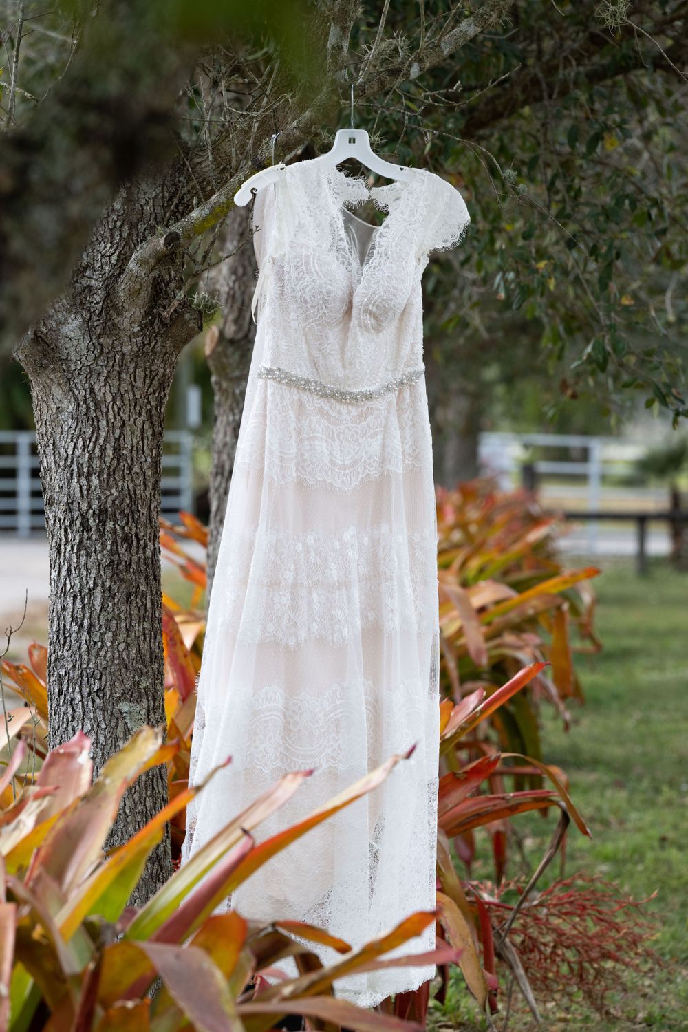 An elegant white lace wedding dress hanging from a hanger outdoors against a tree with orange foliage.