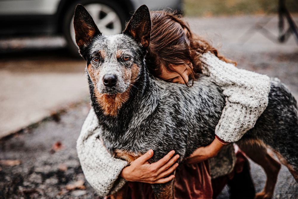 Girl hugs her Australian Cattle Dog on a rainy afternoon.