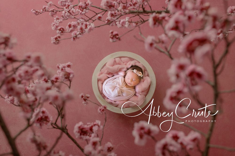 Melbourne Newborn baby in sleepy newborn pose. Melbourne best newborn photographer. Best baby photo photography. Affordable family photos.