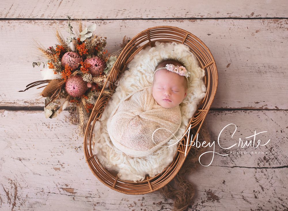 Melbourne Newborn baby in sleepy newborn pose. Melbourne best newborn photographer. Best baby photo photography. Affordable family photos.