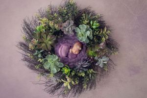 Melbourne Newborn baby in sleepy newborn pose. Melbourne best newborn photographer. Best baby photo photography. Affordable family photos.