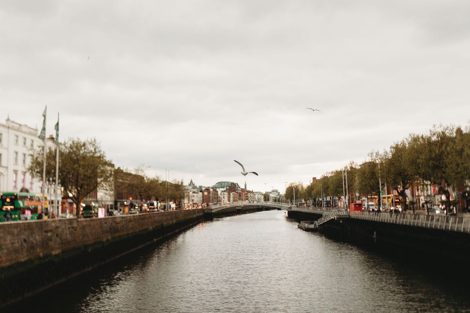 Rainy day in Dublin over the canal photoshoot