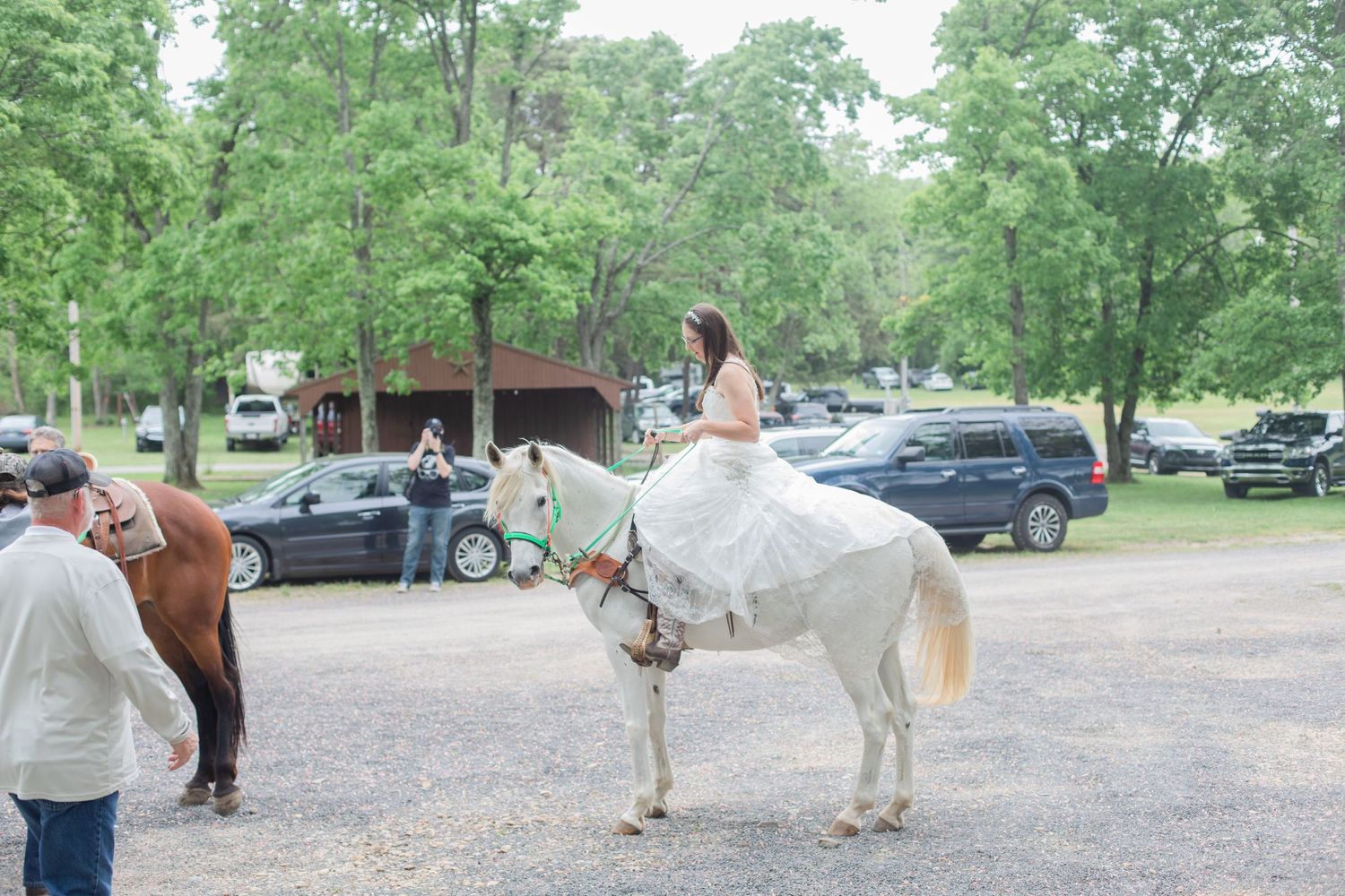 A white horse stands in a parking area surrounded by trees and cars.