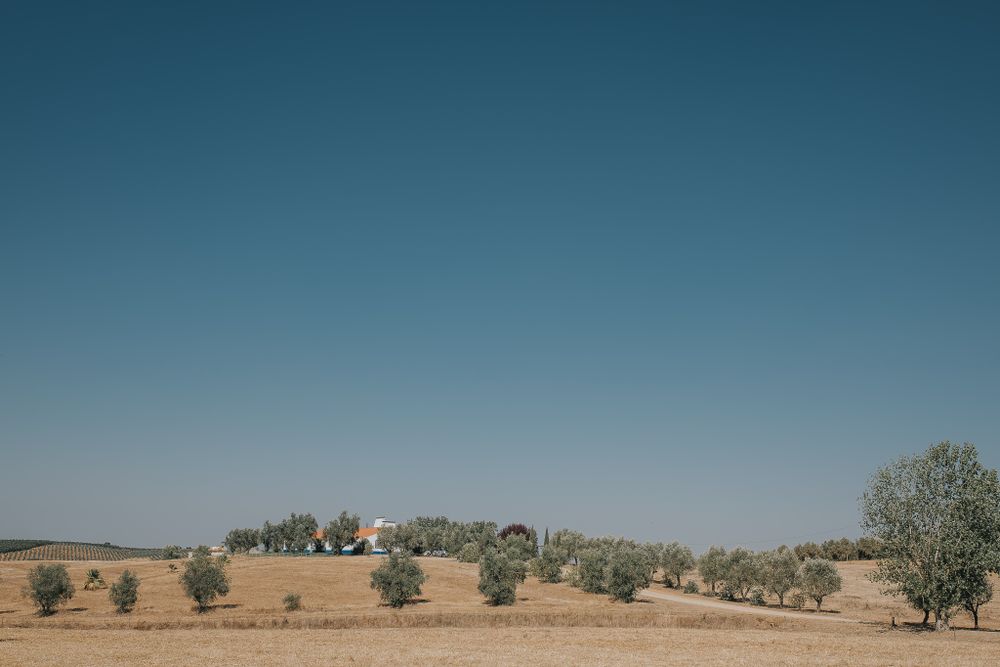 fotografia-casamento-alentejo-4