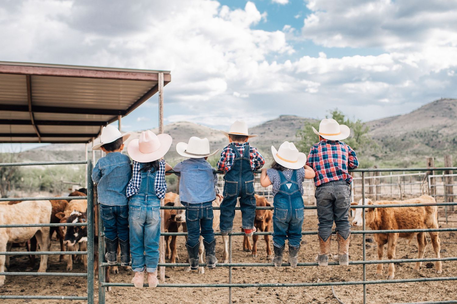 Tucson family ranch photo of parents and kids in cowboy hats standing near livestock with mountains in the background.