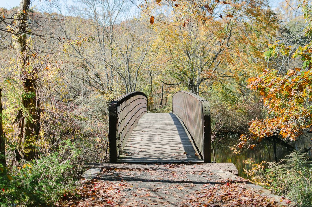 Wooden arched bridge surrounded by vibrant autumn foliage spanning a calm forest stream.