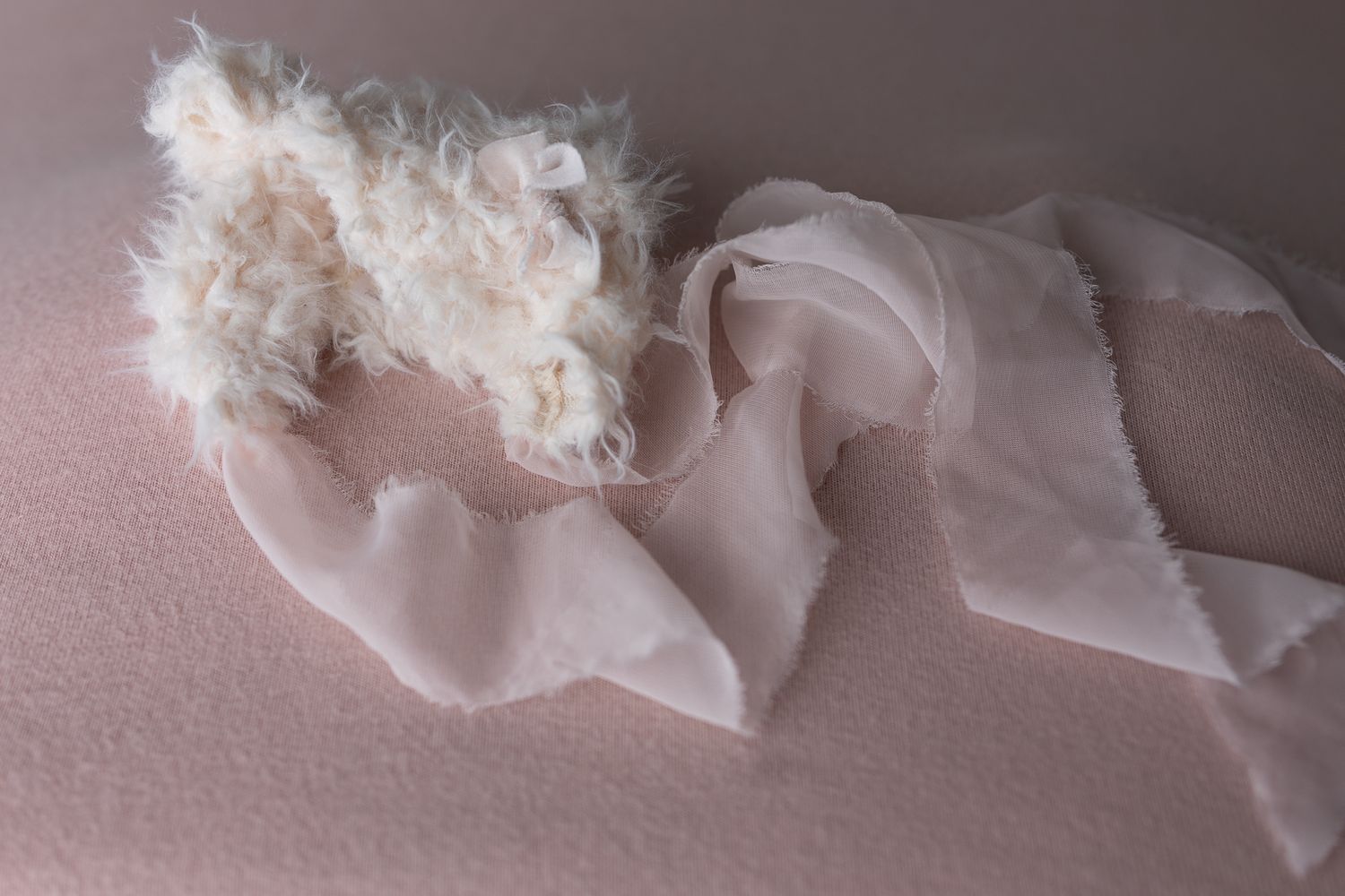 Tallahassee newborn photographer