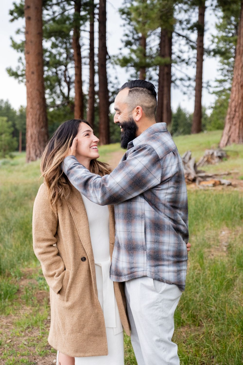 A couple embraces and laughs together in a forest of tall pine trees on a sunny day.
