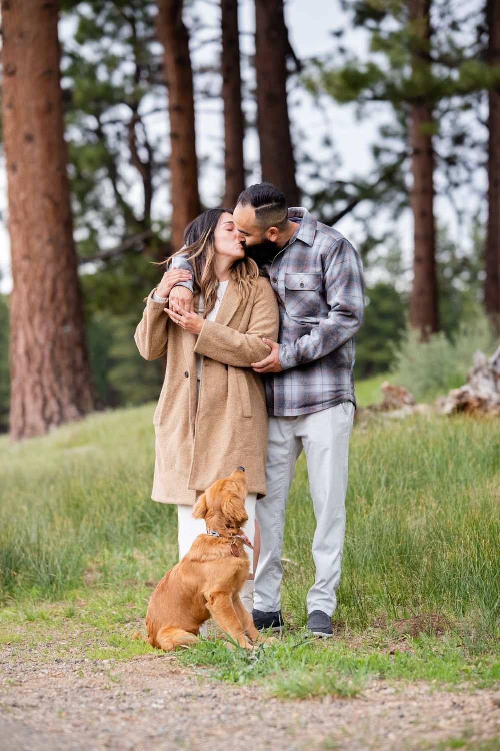A couple embraces on a trail in a pine forest with their golden retriever sitting obediently beside them.