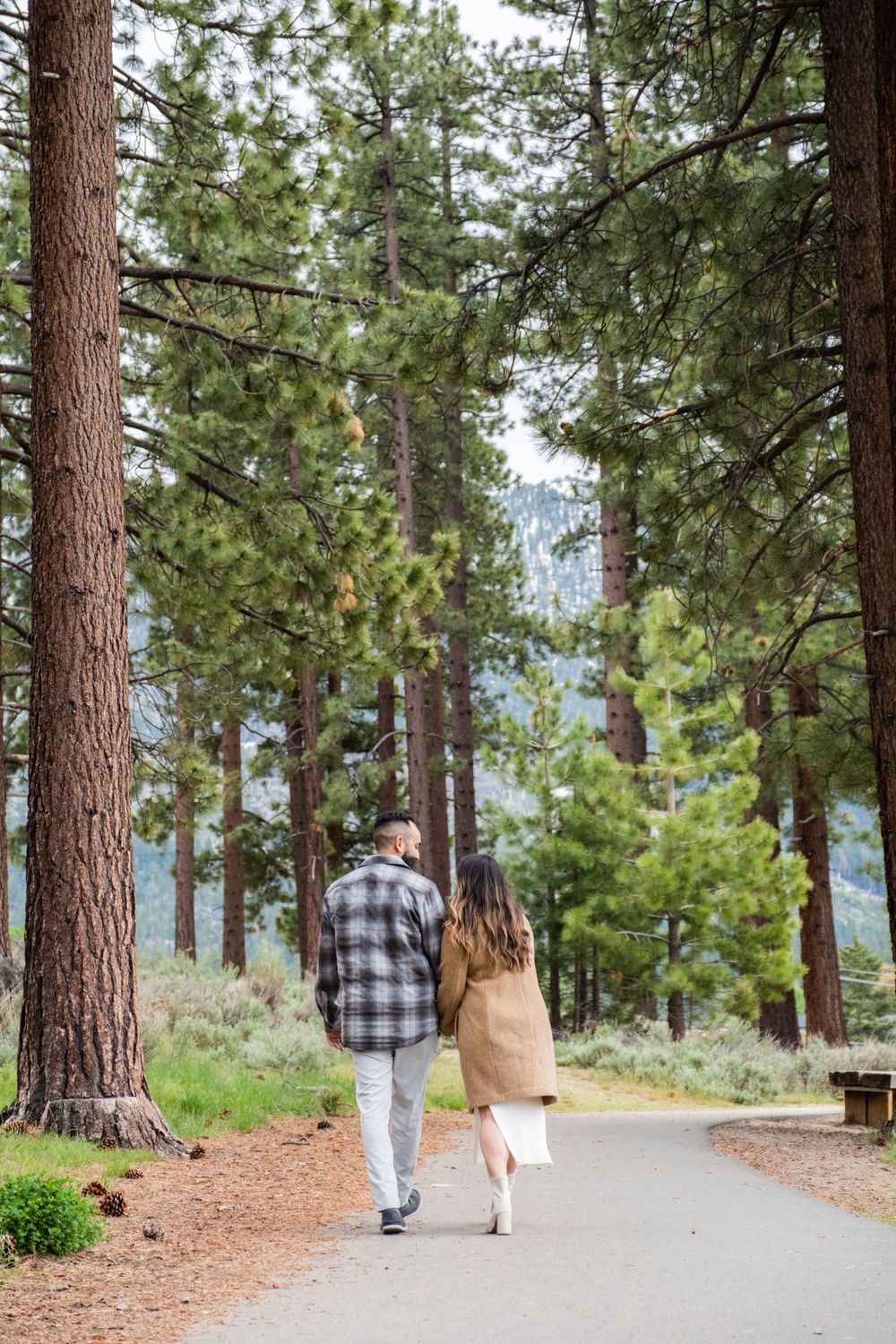 Couple walking together on a paved path through tall pine trees in a scenic mountain forest.