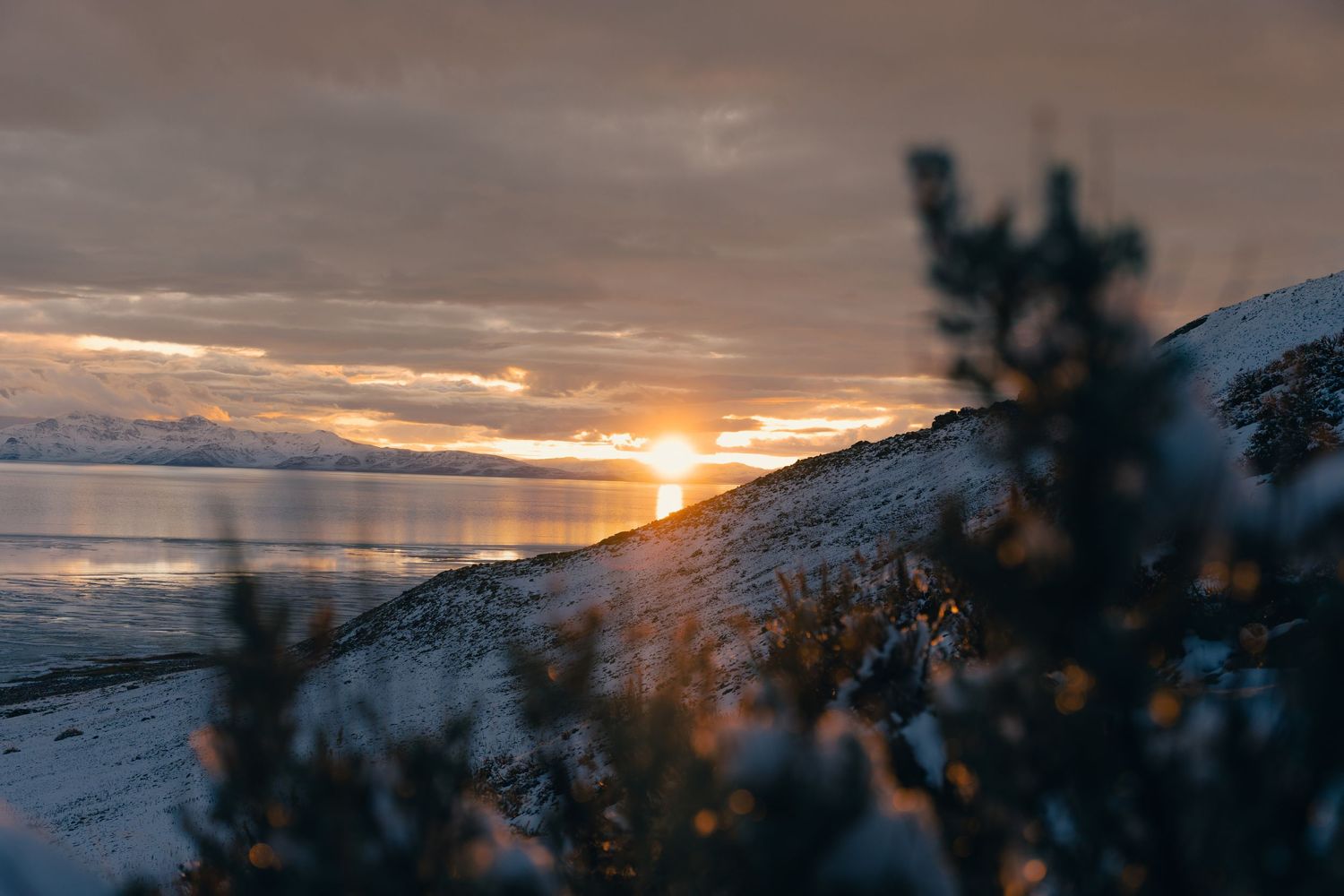Antelope Island State Park Utah