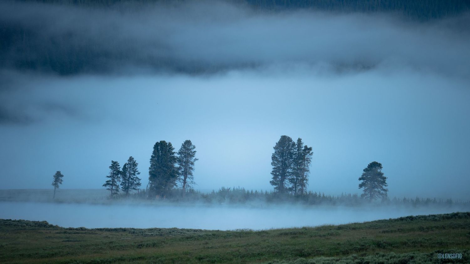 Yellowstone Hayden Valley
