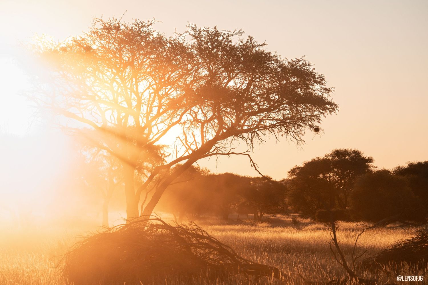 Namibia Golden Hour Sunset