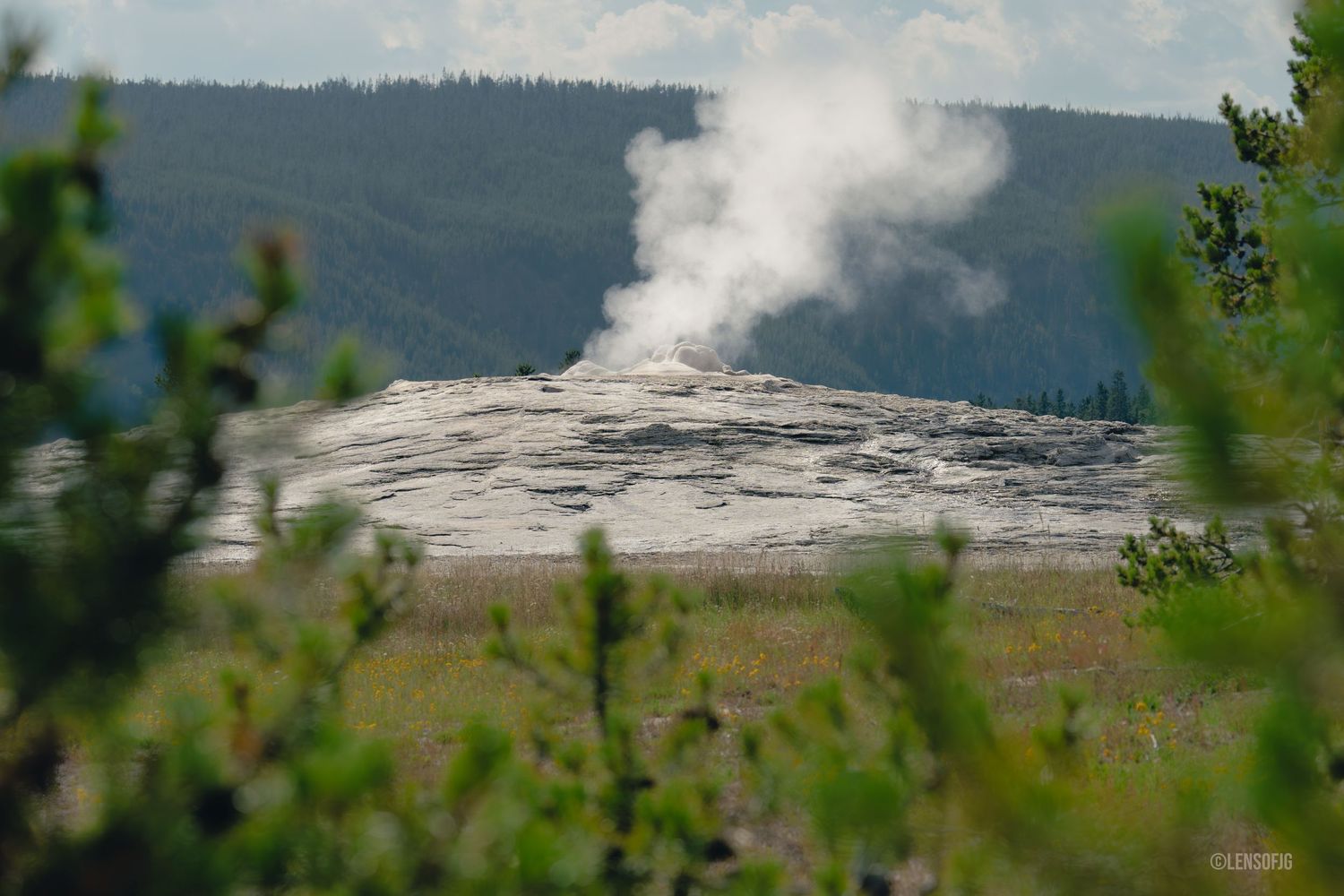 Old Faithful Geyser- Yellowstone National Park