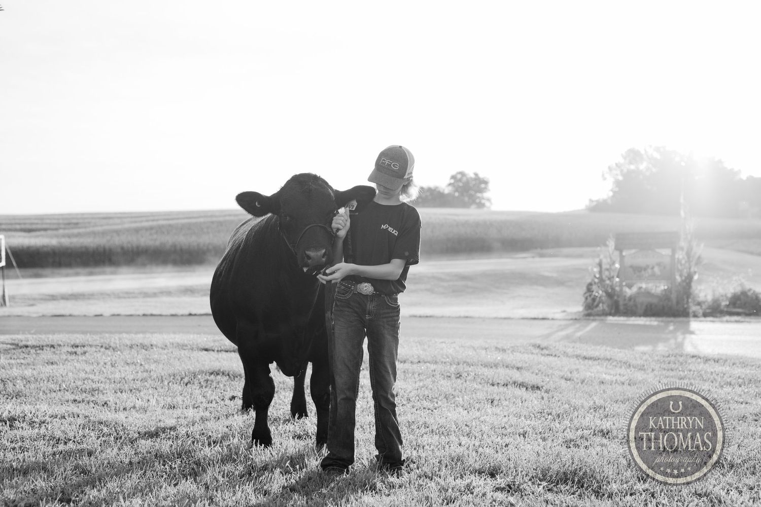 Black and white photo of a show steer and handler bonding on a rural farm.