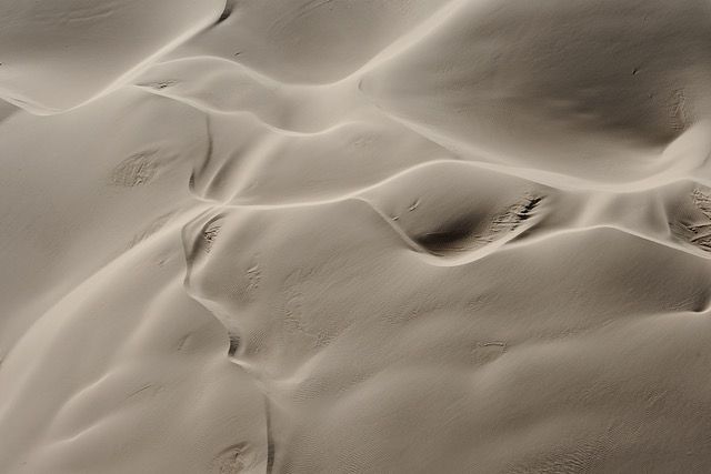 Dune #13 2013 Neal Rantoul
