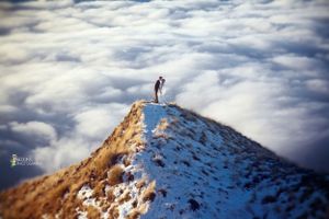Epic view up on Mount Roy in Central Otago