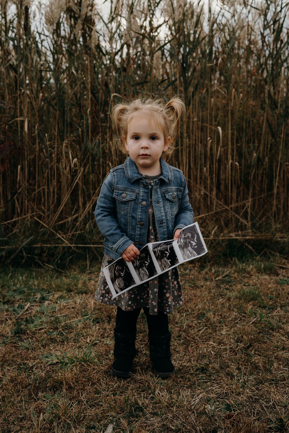 Small child in denim jacket holding ultrasound photos against rustic corn field background.