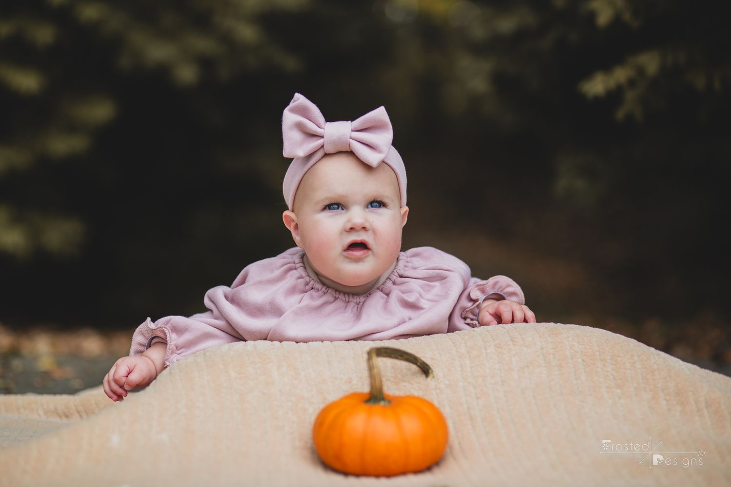 6 month old infant girl in pink on blanket amongst fall leaves in wooded area with small pumpkin.