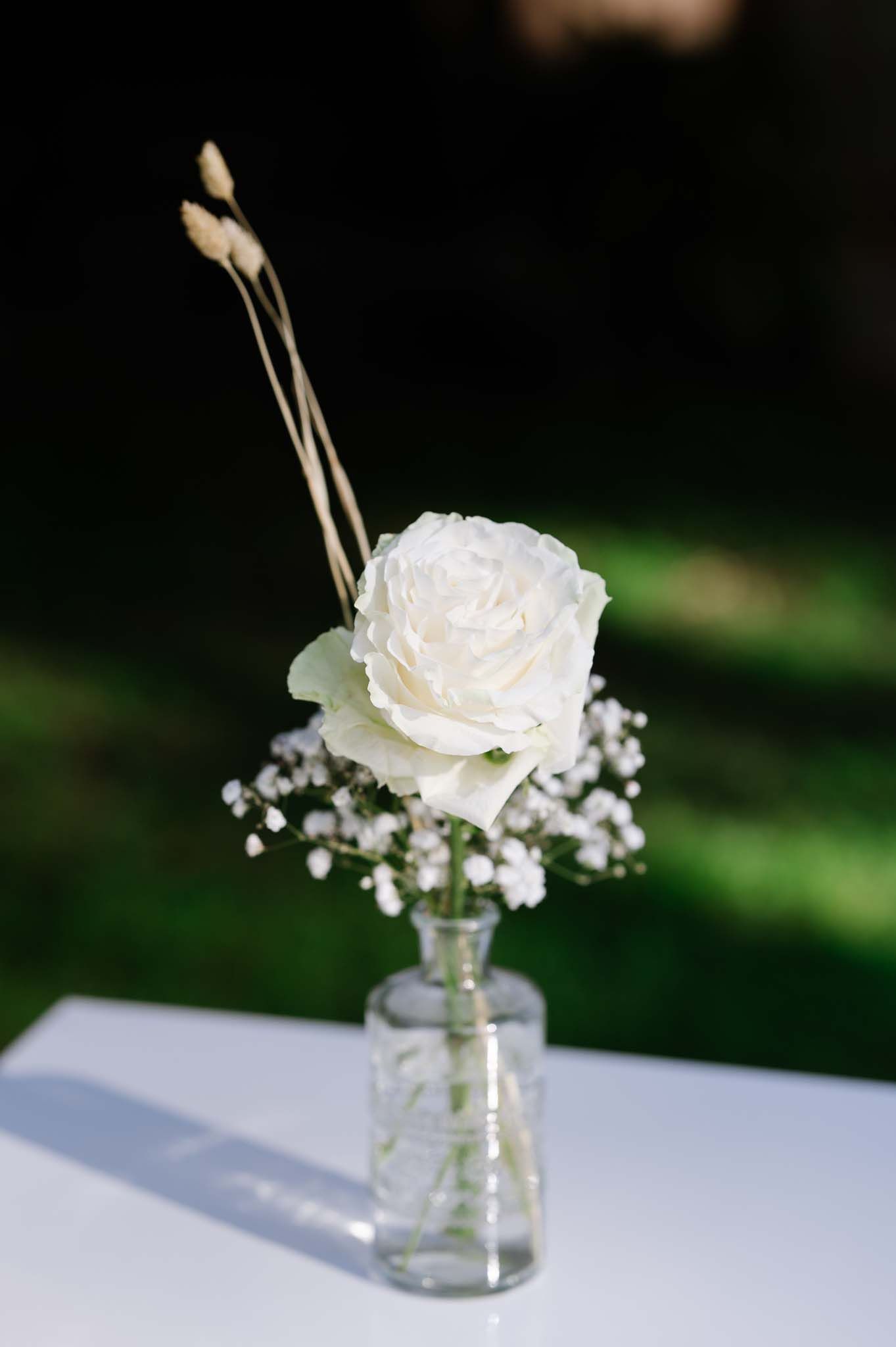 Single white rose with baby's breath in clear glass vase against dark background.